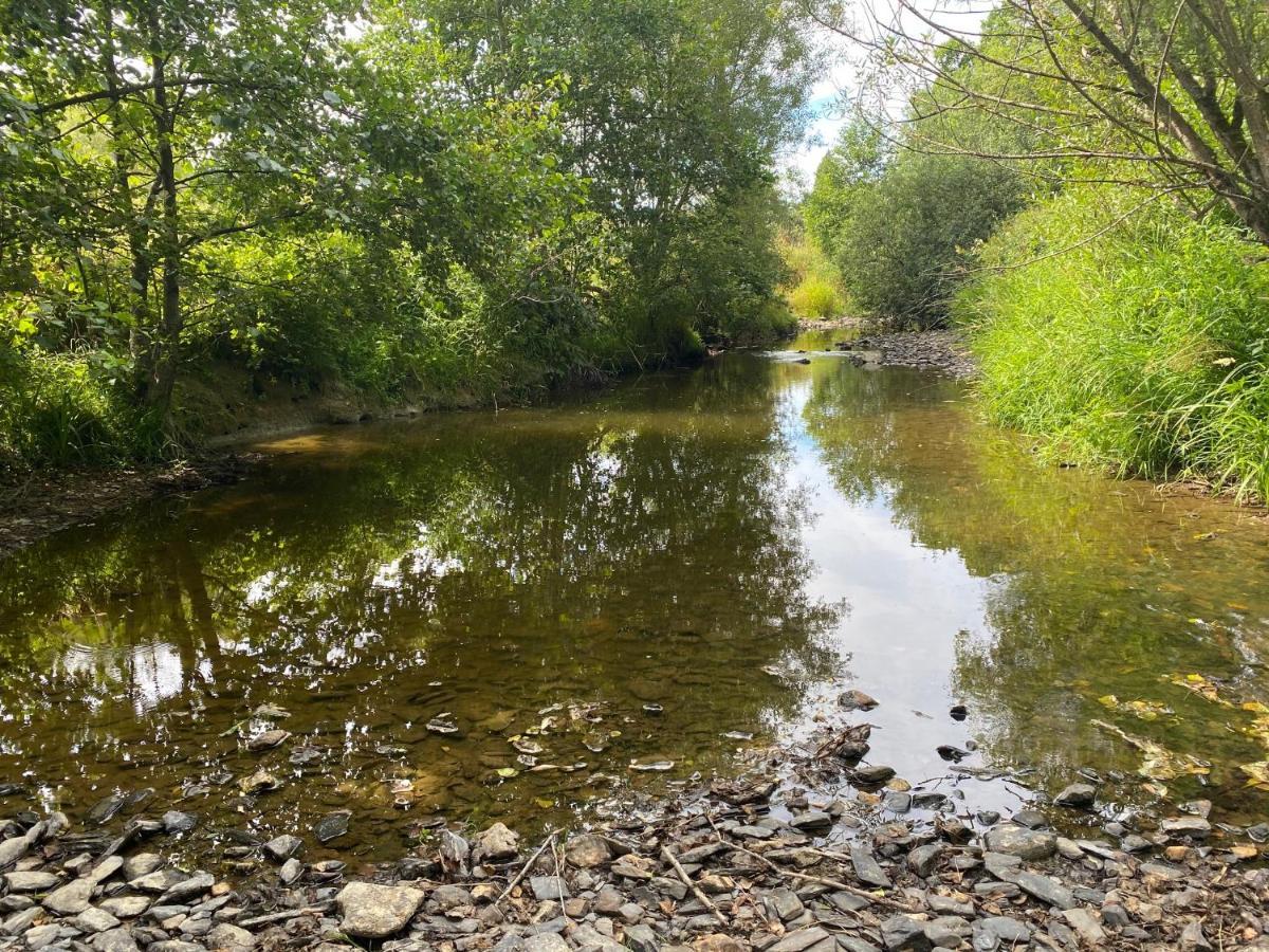 Le Heron - Gite De Charme Cloture, Acces A La Riviere - 6 Ou 10 Personnes Fauvillers Eksteriør bilde